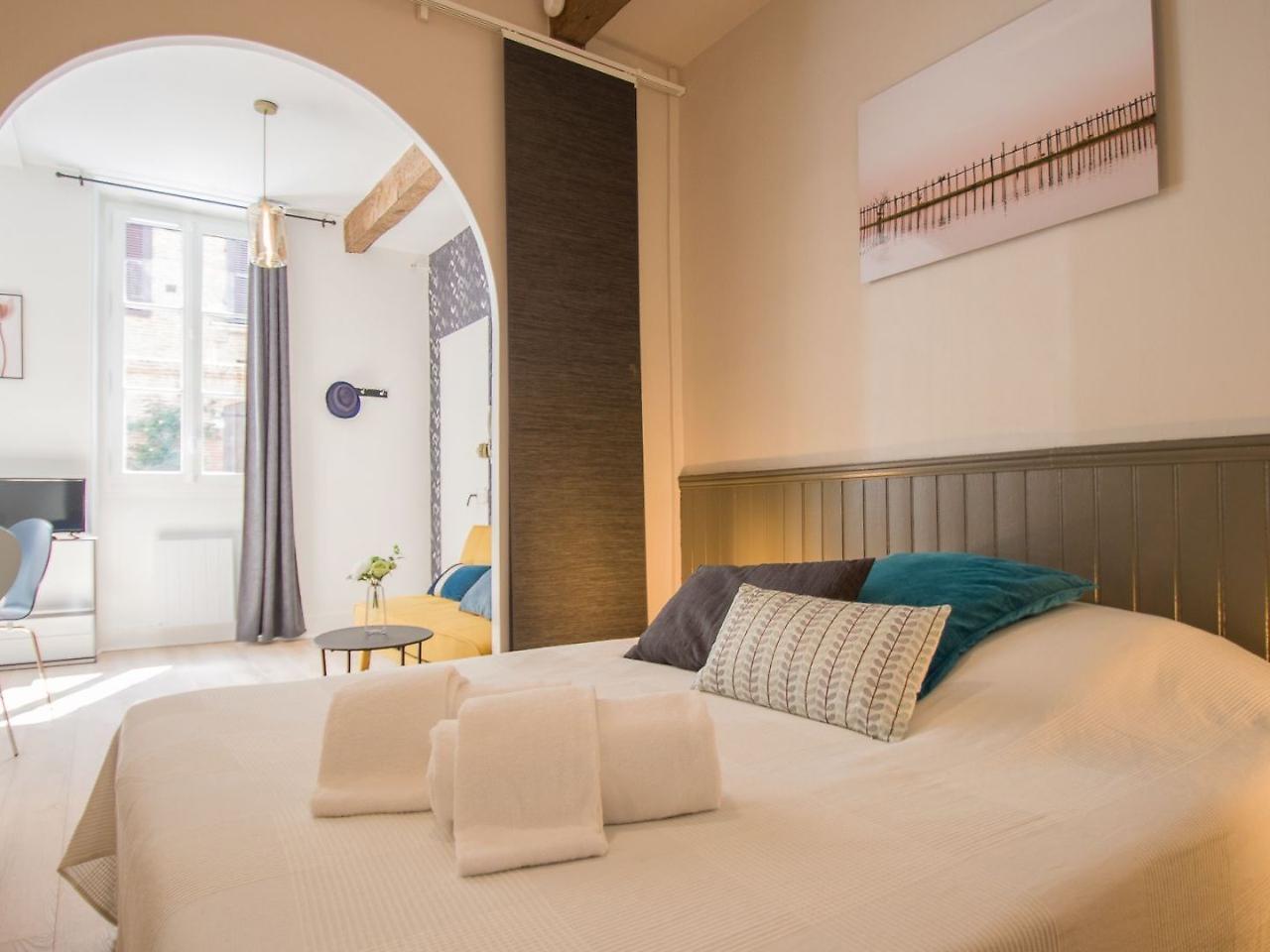 La Dame Du Taur By Cocoonr Apartment Toulouse Ngoại thất bức ảnh
